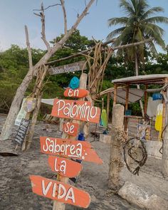 Palomino Beach Colombia Creative Vision Boards, Vision Boards, My Favourite, The Whole, Favorite Places, Collage, Pins