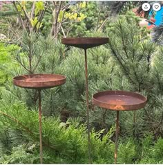 three metal bird bathes sitting on top of plants