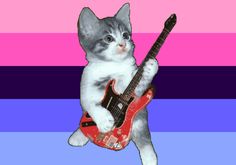 a kitten playing with a red guitar in front of a pink and blue striped background