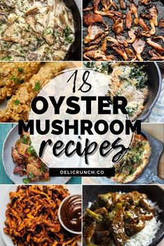 18 of the best oyster mushroom recipes for fun, easy, and meat-free dinners (all with 30 minutes or less cook time)! quick and easy ways of cooking these mushrooms include frying, grilling, roasting, teriyaki, in a pasta, pizza, shawarma, nachos, salad and many more How To Cook With Mushrooms, Recipes Oyster Mushrooms, Gold Oyster Mushroom Recipe, Pearl Mushroom Recipe, Vegan Recipes Oyster Mushrooms, Healthy Oyster Mushroom Recipes, Mini Oyster Mushroom Recipe, How To Cook Pink Oyster Mushrooms, Clamshell Mushroom Recipe