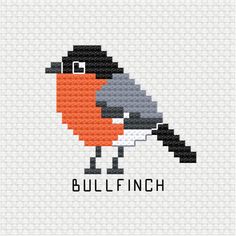 an orange and black bird with the word bullfinch on it