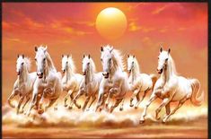 a group of white horses running across a desert field at sunset with the sun in the background