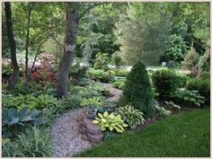 a garden with lots of plants and trees