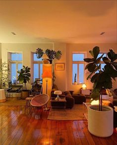 a living room filled with lots of furniture and plants on top of hard wood flooring