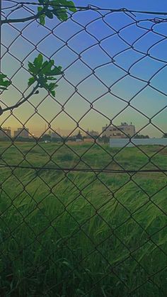 the view from behind a chain link fence looking at a grassy field with buildings in the distance