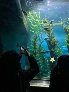 two people taking pictures of an aquarium with their cell phones in front of the fish tank