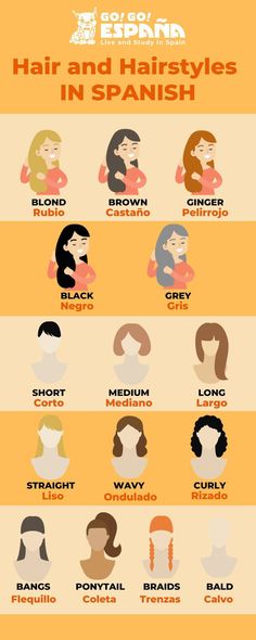 the different types of hair and hairstyles in spanish infographical poster with text