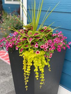 a planter filled with lots of flowers next to a blue wall and building behind it