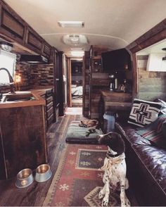 a dog is sitting on the floor in front of a living room with wood paneling