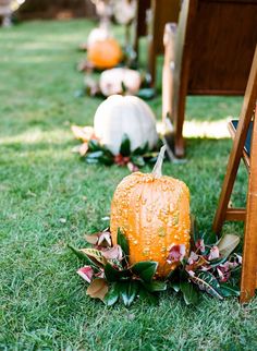 an orange pumpkin sitting on top of a lush green field next to wooden folding chairs