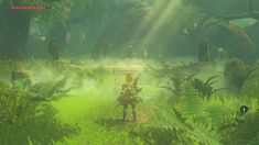 the legend of zelda is walking through an area with lots of green plants and trees