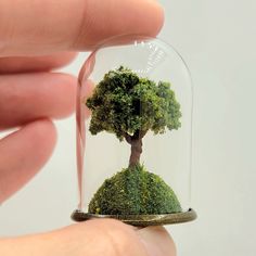 a miniature tree in a glass dome with moss on the top and bottom is being held by a person's hand