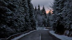 a road surrounded by snow covered trees in the middle of winter with dark clouds overhead