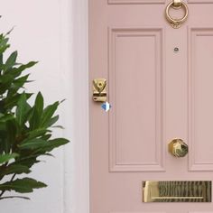 a pink door with two brass handles and a potted plant