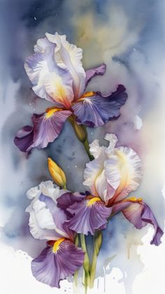 two purple and white irises in watercolor on paper with blue sky behind them