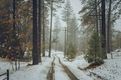 a snow covered road in the middle of a forest