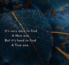 a leaf with the words it's very easy to find a new one but it's hard to find a true one