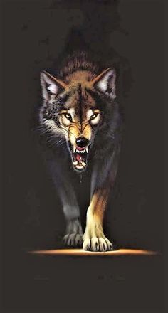 a wolf is walking in the dark with its mouth open