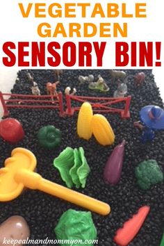 a vegetable garden is shown with toys in the background and text overlay that reads, vegetable garden sensory bin