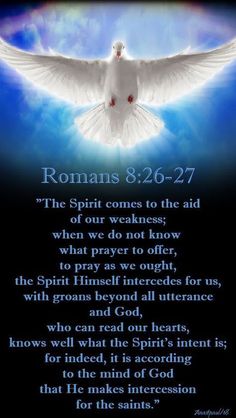 a white dove with the words romans 3 26 - 27