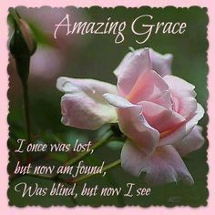 a pink rose with the words amazing grace