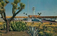 a parking lot filled with lots of parked cars and tall palm trees in front of a control tower