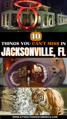 10 things you can't miss in Jacksonville, FL with image of Museum of Science and History, Jacksonville Zoo and Gardens, Cummer Museum of Art & Gardens. Things To Do For Fun, Jacksonville Beach Florida, Florida Adventures, Beach Towns, North Florida, Jacksonville Beach, Visit Florida, Going Solo, Vacation Planning