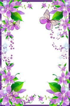 purple flowers and butterflies on a white background