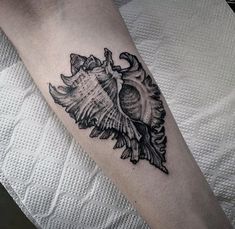 a black and white photo of a sea shell on the left forearm tattoo by person