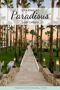 palm trees and walkway with the words staying at paradisus los cabos on it