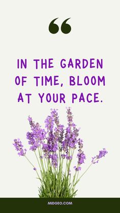 some purple flowers and the words in the garden of time, bloom at your pace