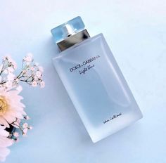 Perfume Light Blue, Light Blue Eau Intense, Light Blue Dolce Gabbana, Dolce And Gabbana Perfume, Light Blue Perfume, Blue Perfume, Light Blue Aesthetic, Perfume Packaging