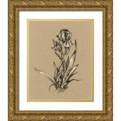 a drawing of a flower in a gold frame