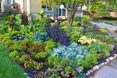 a garden filled with lots of different types of flowers and plants in front of a house