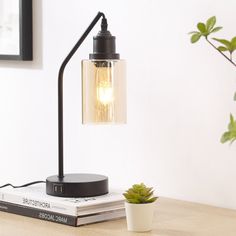 a table lamp sitting on top of a book next to a potted plant