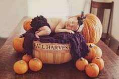 a baby is sleeping in a basket with pumpkins on the table next to it