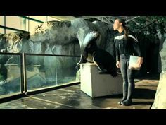 a woman standing next to a sea lion in an enclosure