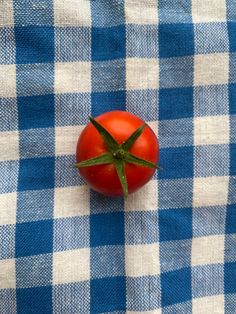 Tomato Still Life Photography, Tomato Reference, Food Drawing Reference, Tomatoes Aesthetic, Tomato Photography, Tomato Aesthetic, Tomato Wallpaper, Aesthetic Tomato, Tomato Photo