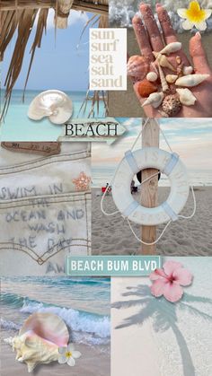 beach bum blvd collage with shells and flowers