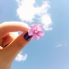 a hand holding a pink flower in front of a blue sky with white puffy clouds