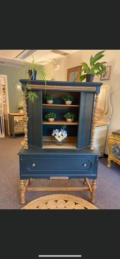 a blue cabinet with plants on it in the middle of a carpeted flooring area