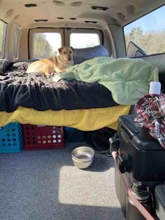 a dog laying on top of a bed in the back of a truck