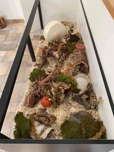 a table that has some plants and rocks in it on top of the floor next to a wall