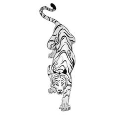 a black and white drawing of a tiger jumping in the air with its tail extended