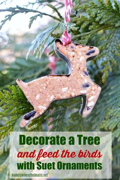 an ornament hanging from a christmas tree with the words decorate a tree and feed the birds with suet ornaments