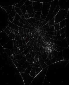 a spider web is shown in the dark