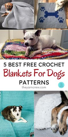 the top 5 best free crochet blankets for dogs