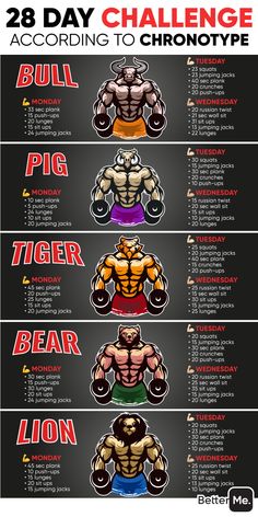 the ultimate bodybuilding workout chart for each type of man in this image, you can see