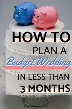 two piggies on top of a wedding cake with the words how to plan budget wedding in less than 3 months