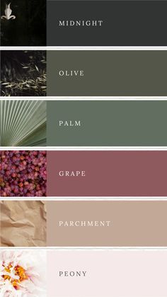 Colour palette with midnight, olive, green, dark pink, natural beige and blush pink. Dark Green Colour Palette Bedrooms, Color Palettes With Dark Green, Business Color Schemes Colour Palettes, Green Swatches Colour Palettes, Dark Green Color Palette Wedding, Safe Green Colour Palette, Spa Color Scheme, Sage Green And Black Color Palette, Black Green Colour Palette